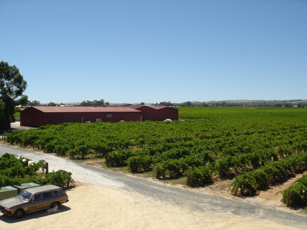 Kaesler Cottages Nuriootpa Exterior foto